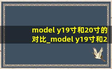 model y19寸和20寸的对比_model y19寸和20寸的对比图